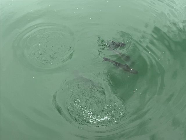 891 Dutch Hill Road, Southport, NY 14871