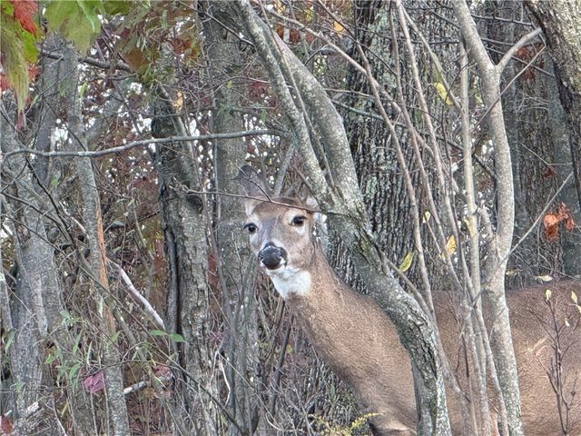 891 Dutch Hill Road, Southport, NY 14871