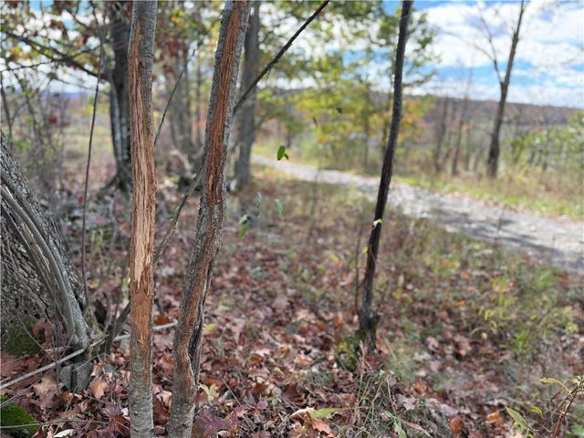 891 Dutch Hill Road, Southport, NY 14871