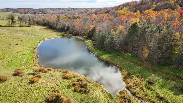 891 Dutch Hill Road, Southport, NY 14871