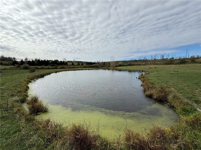 891 Dutch Hill Road, Southport, NY 14871