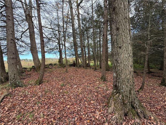 891 Dutch Hill Road, Southport, NY 14871