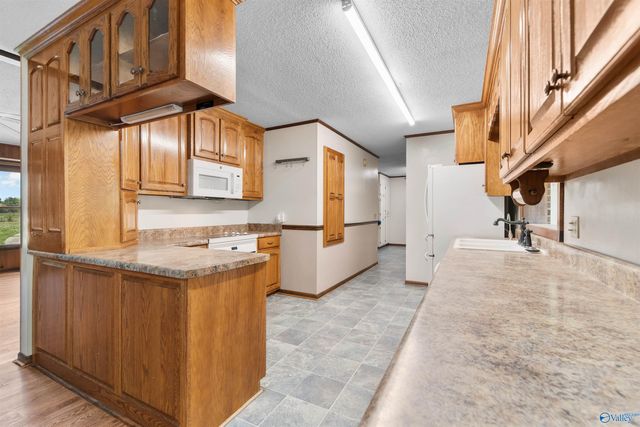 239 Henry Bayless Road, Ardmore, TN 38449
