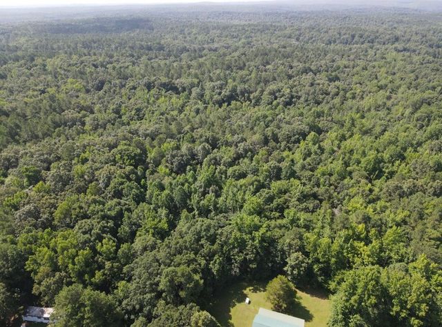 4875 Dollar Rd, Buena Vista, TN 38318