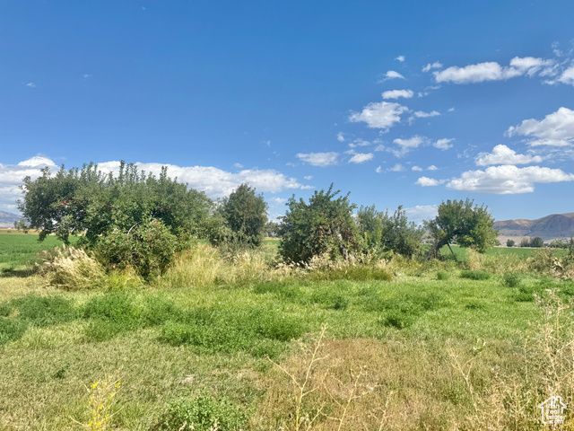 13200 N 6000 W, Garland, UT 84312