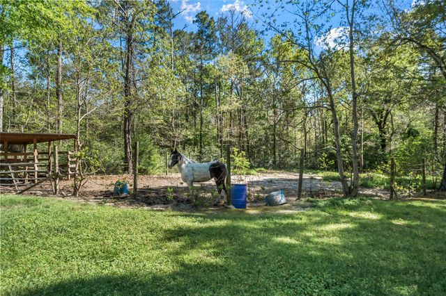 159 Saddle Surrey Road, Coldspring, TX 77331