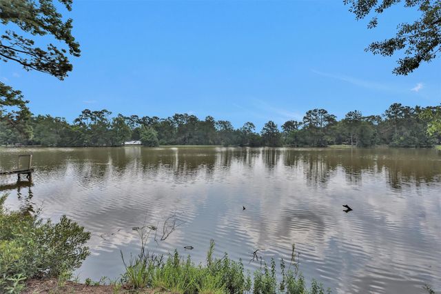 17612 White Perch Lake Drive, Conroe, TX 77384