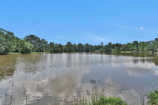 17612 White Perch Lake Drive, Conroe, TX 77384