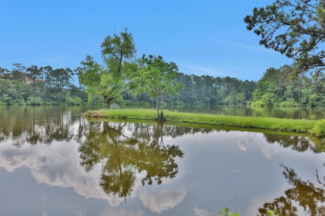 17612 White Perch Lake Drive, Conroe, TX 77384