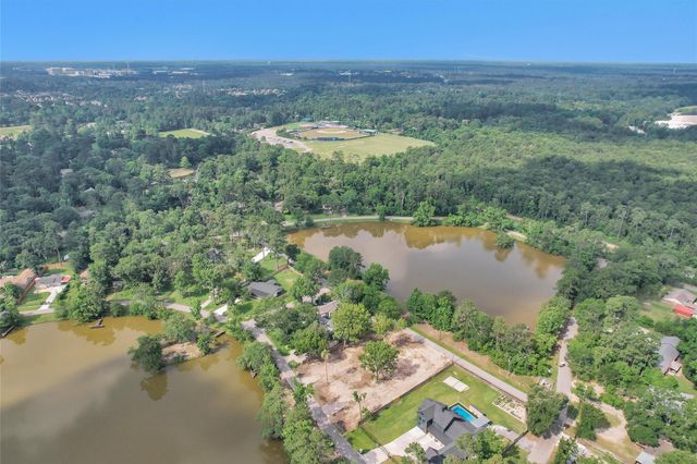 17612 White Perch Lake Drive, Conroe, TX 77384