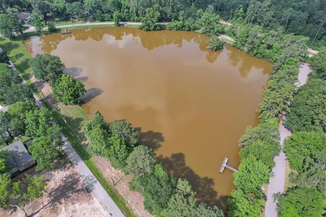 17612 White Perch Lake Drive, Conroe, TX 77384