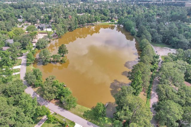 17612 White Perch Lake Drive, Conroe, TX 77384