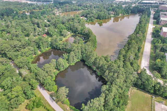 17612 White Perch Lake Drive, Conroe, TX 77384
