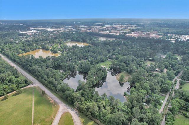 17612 White Perch Lake Drive, Conroe, TX 77384