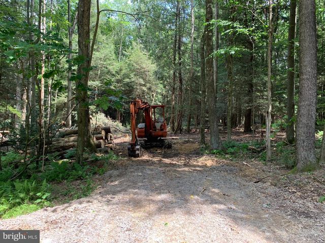 62 WILD TURKEY CT, Oakland, MD 21550