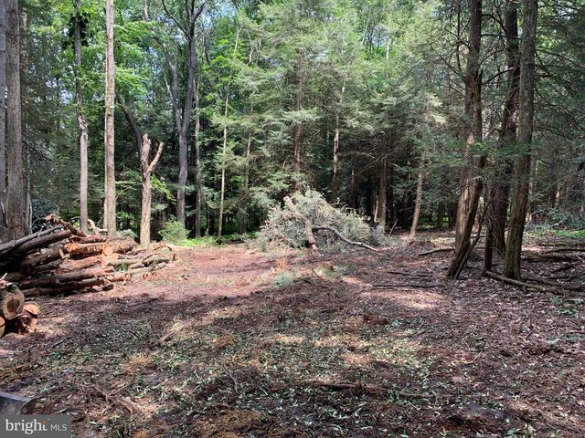 62 WILD TURKEY CT, Oakland, MD 21550