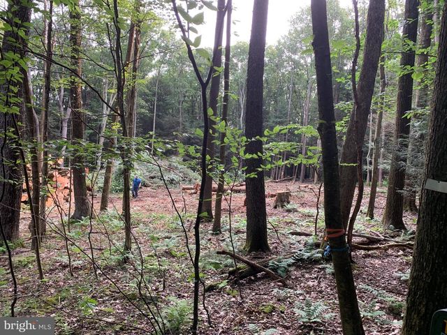 62 WILD TURKEY CT, Oakland, MD 21550