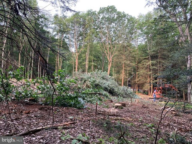 62 WILD TURKEY CT, Oakland, MD 21550