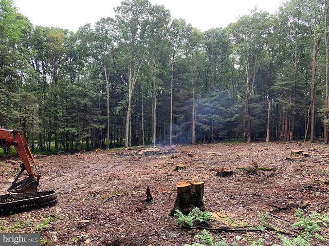 62 WILD TURKEY CT, Oakland, MD 21550