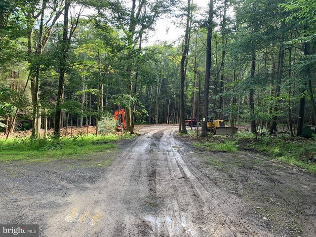 62 WILD TURKEY CT, Oakland, MD 21550