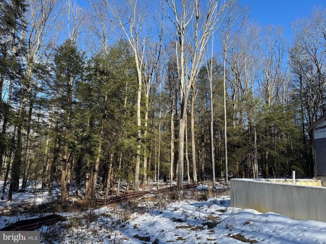 62 WILD TURKEY CT, Oakland, MD 21550