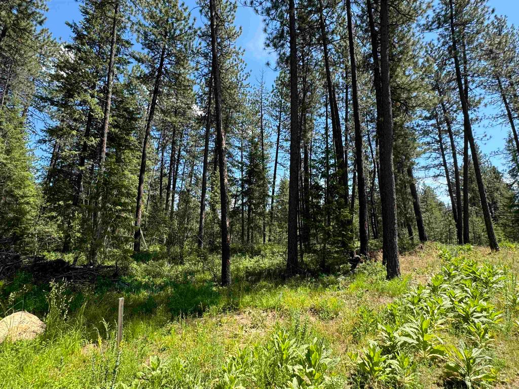 600 N A St, Springdale, WA 99173