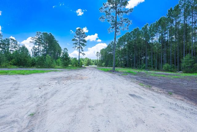 Tract 4-B W G Rd., Loris, SC 29569