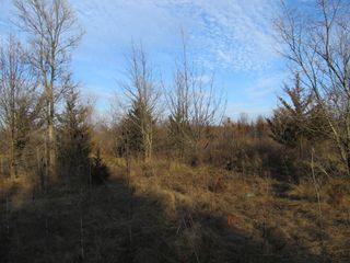 0-Lot 12 Grant Street, Merrillville, IN 46410