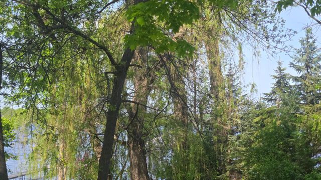 1373 Rest Point Road, Orono, MN 55364