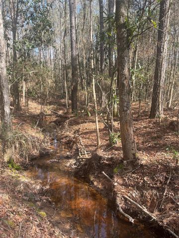 TBD Fm 943, Dallardsville, TX 77351