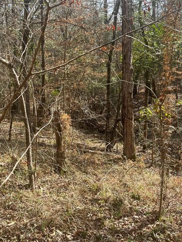 TBD Fm 943, Dallardsville, TX 77351