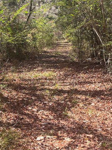 TBD Fm 943, Dallardsville, TX 77351