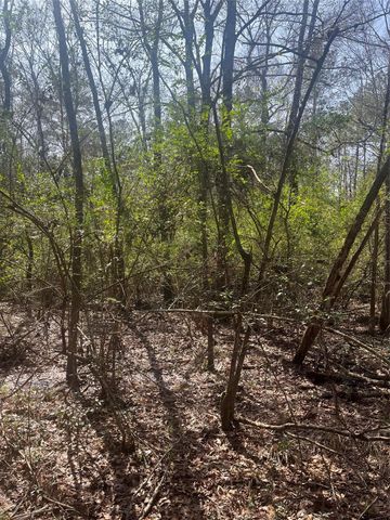 TBD Fm 943, Dallardsville, TX 77351