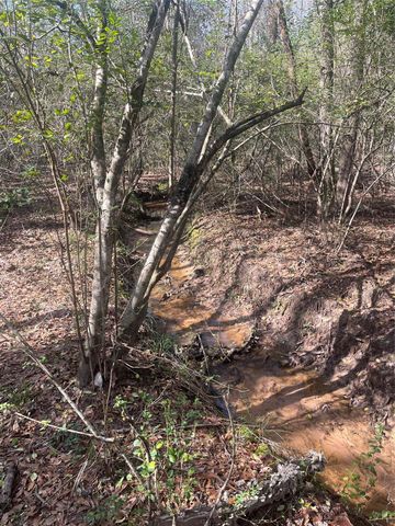 TBD Fm 943, Dallardsville, TX 77351