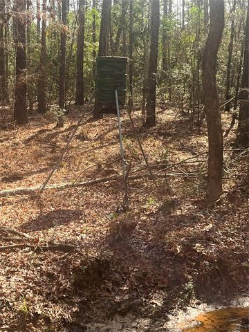 TBD Fm 943, Dallardsville, TX 77351
