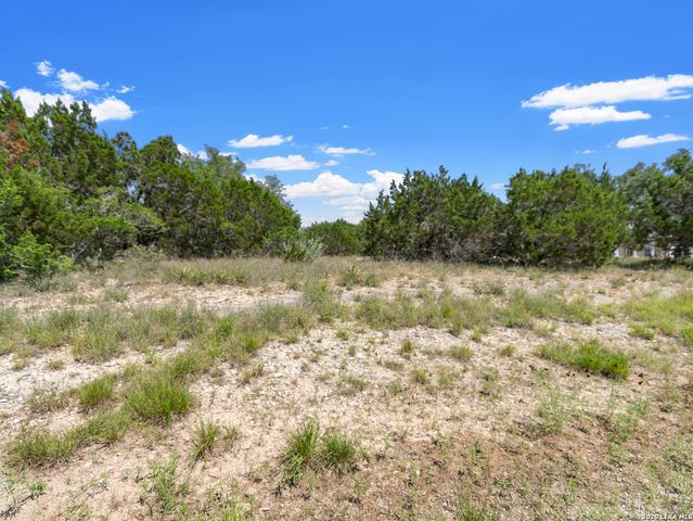 242 Ridge PT, Spring Branch, TX 78070