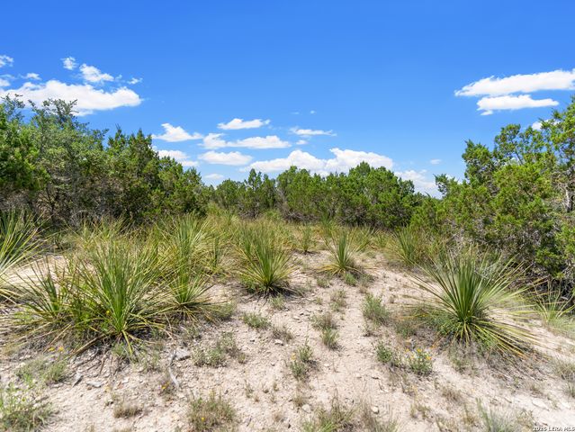 242 Ridge PT, Spring Branch, TX 78070