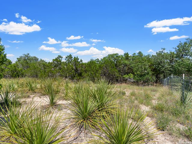 242 Ridge PT, Spring Branch, TX 78070