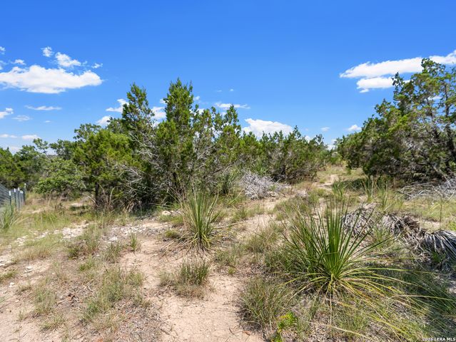 242 Ridge PT, Spring Branch, TX 78070