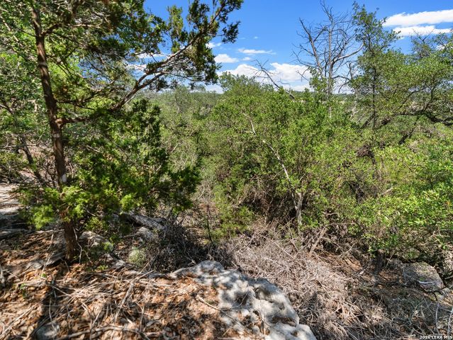 242 Ridge PT, Spring Branch, TX 78070