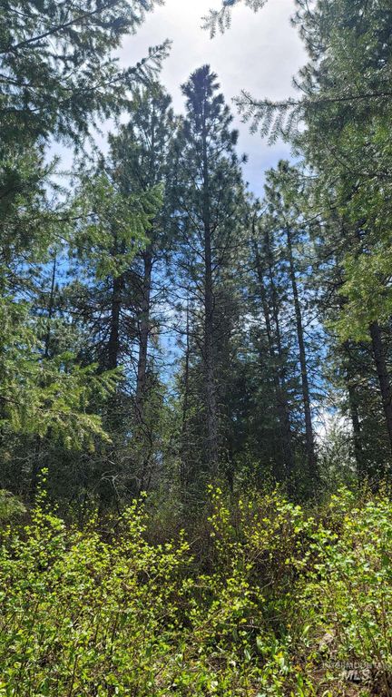 2488 Lappin Lane, Council, ID 83612 photo 15