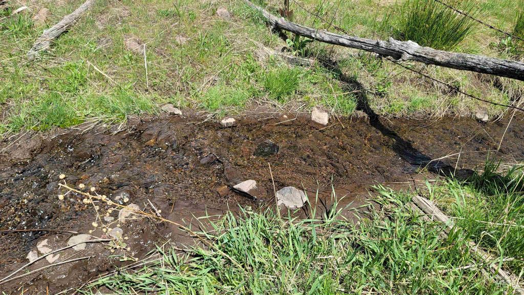 2488 Lappin Lane, Council, ID 83612 photo 24