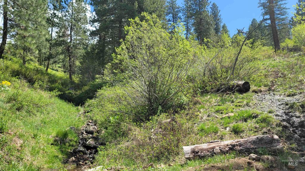 2488 Lappin Lane, Council, ID 83612 photo 3