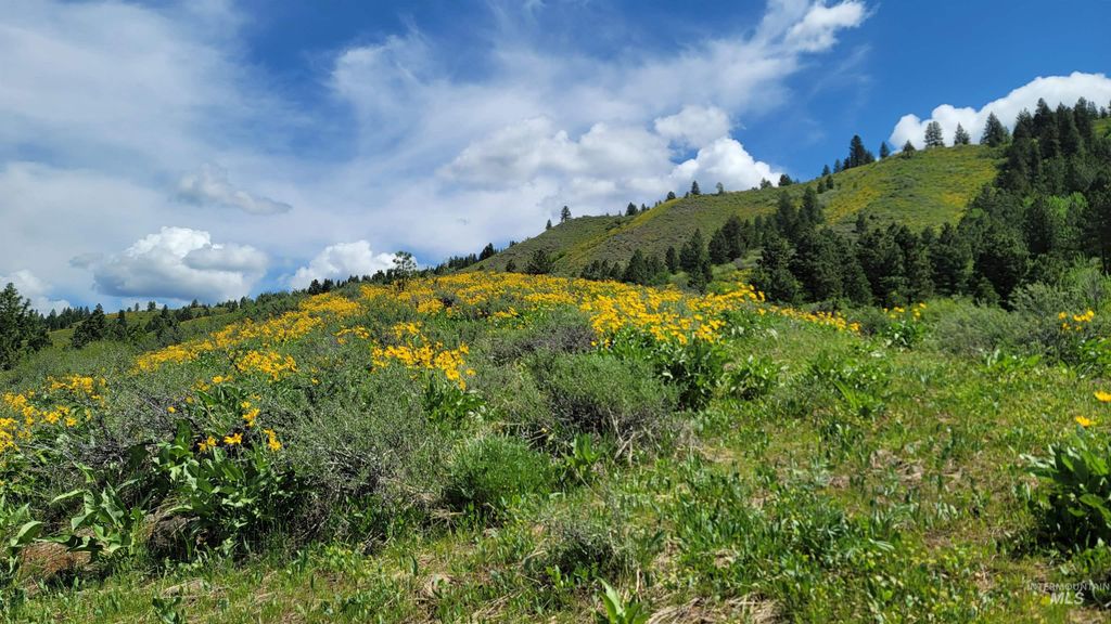 2488 Lappin Lane, Council, ID 83612 photo 7