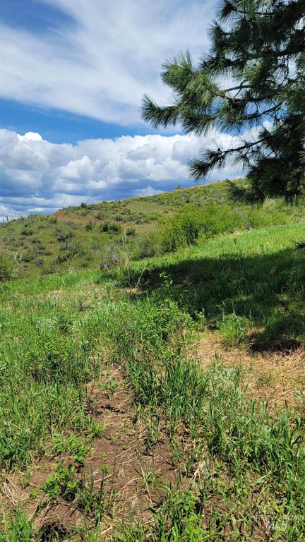 2488 Lappin Lane, Council, ID 83612 photo 9