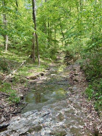 1101 Wax Wing Cir, Kingston Springs, TN 37082