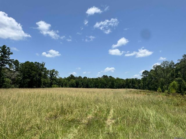 27554 S Frost Rd, Livingston, LA 70754