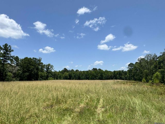 27554 S Frost Rd, Livingston, LA 70754