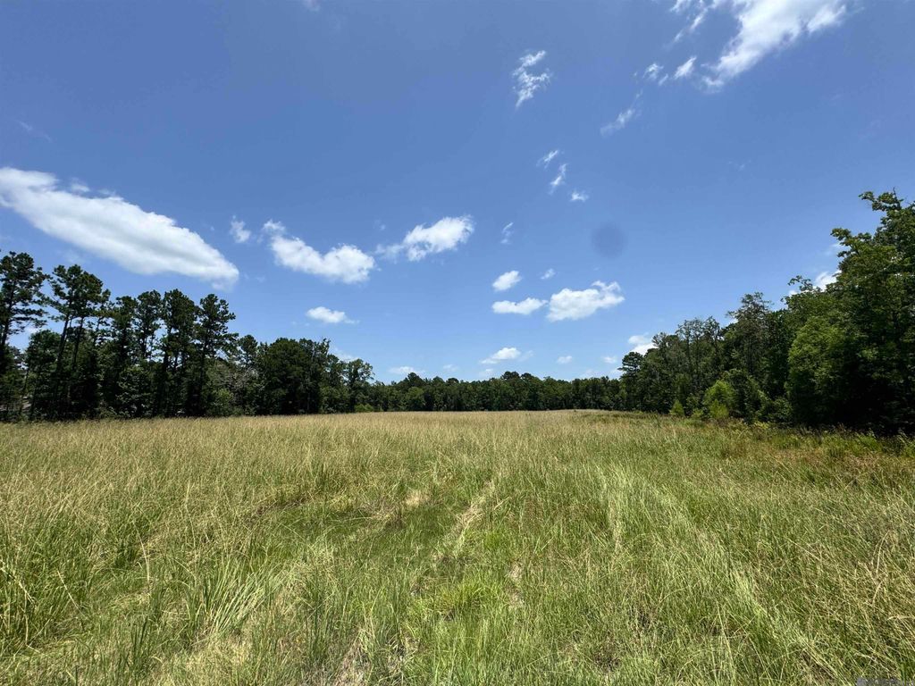 27554 S Frost Rd, Livingston, LA 70754