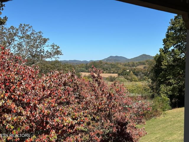 111 Bryan Hill Drive, Tellico Plains, TN 37385